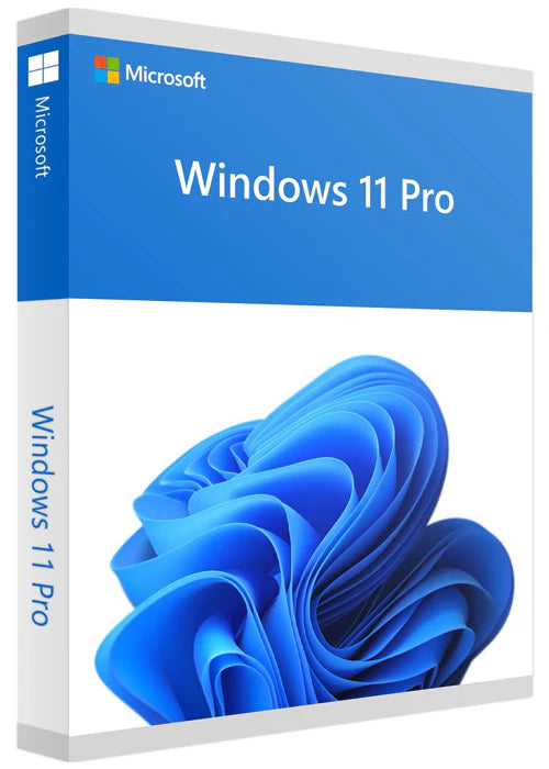 Windows 11 Professional